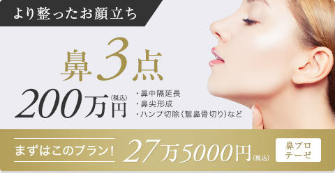 【より整ったお顔立ち】鼻3点200万円（税込）・鼻中隔延長・鼻尖形成・ハンプ切除（鷲鼻骨切り）など【まずはこのプラン！27万5000円（税込）：鼻プロテーゼ】