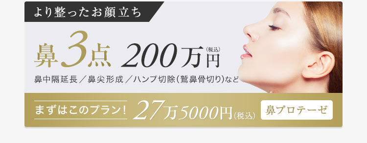 【より整ったお顔立ち】鼻3点200万円（税込）・鼻中隔延長・鼻尖形成・ハンプ切除（鷲鼻骨切り）など【まずはこのプラン！27万5000円（税込）：鼻プロテーゼ】