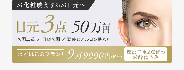 【お化粧映えするお目元へ】目元3点50万円（税込）・切開二重・目頭切開・涙袋ヒアルロン酸など【まずはこのプラン！9万9000円（税込）：埋没二重2点麻酔代込み】