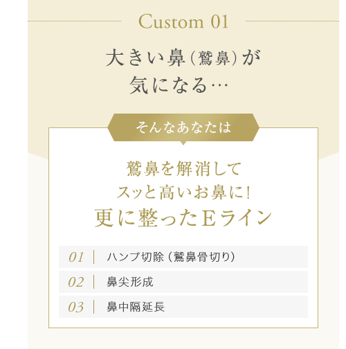 【Custom 01：大きい鼻（鷲鼻）が気になる…】そんなあなたは鷲鼻を解消してスッと高いお鼻に！更に整ったEライン[01.ハンプ切除（鷲鼻骨切り） ][02.鼻尖形成][03.鼻中隔延長]