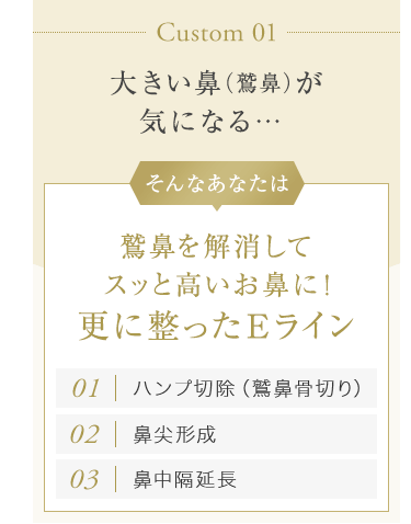 【Custom 01：大きい鼻（鷲鼻）が気になる…】そんなあなたは鷲鼻を解消してスッと高いお鼻に！更に整ったEライン[01.ハンプ切除（鷲鼻骨切り） ][02.鼻尖形成][03.鼻中隔延長]