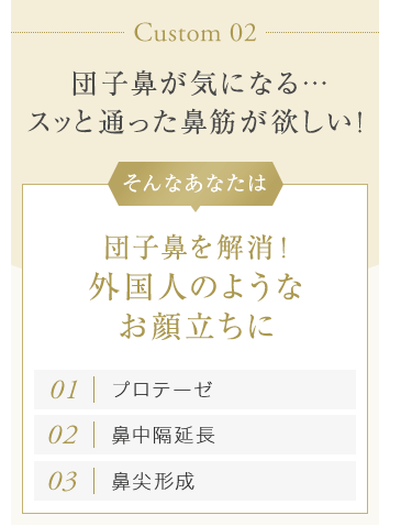 【Custom 02：団子鼻が気になる…スッと通った鼻筋が欲しい！】そんなあなたは団子鼻を解消！外国人のようなお顔立ちに[01.プロテーゼ][02.鼻中隔延長][03.鼻尖形成 ]