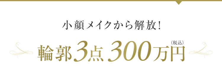 小顔メイクから解放！輪郭3点 300万円（税込）