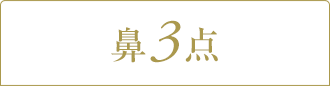 鼻3点