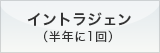 イントラジェン（半年に1回）