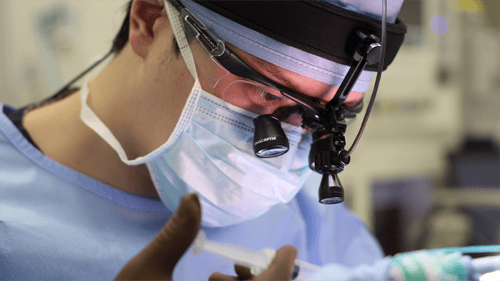 輪郭形成・骨切り・豊胸のスペシャリスト 東京美容外科 赤坂院 院長柘植 琢哉医師