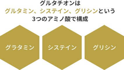 8月キャンペーン