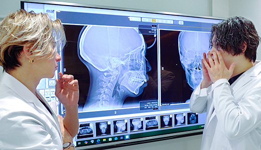 3D-CTで撮影したデータイメージ