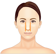 目頭の間と鼻の幅が同じ人