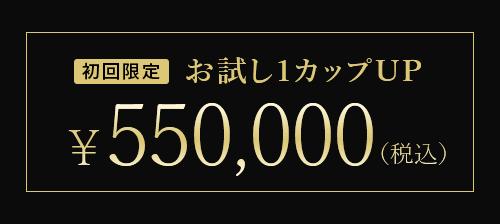 初回限定 お試し1カップUP ￥550,000(税込)