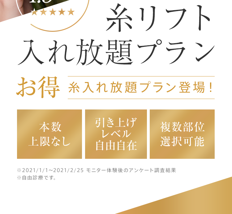 糸リフト入れ放題プラン お得 糸入れ放題プラン登場！[本数上限なし][引き上げレベル自由自在][複数部位選択可能]